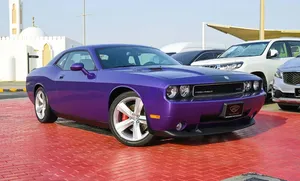 Dodge Challenger SRT8 2010 for Sale