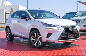 Lexus NX 2020 for Sale