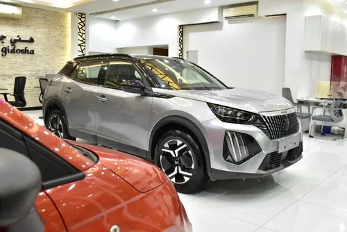 Peugeot 2008 2024 for Sale