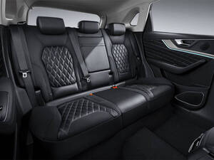 هونغ تشي HS5 الداخلية 