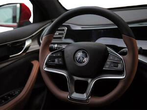 BYD QIN PLUS Interior Sterring Wheel