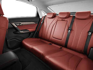 بايك D50 الداخلية 