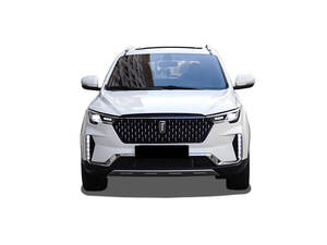 بيستون T33 الخارجية 