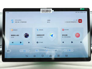 بي واي دي يوان بلس الداخلية 