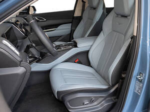 هونغ تشي HS3 الداخلية 