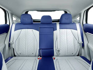 إم جي ويل الداخلية 