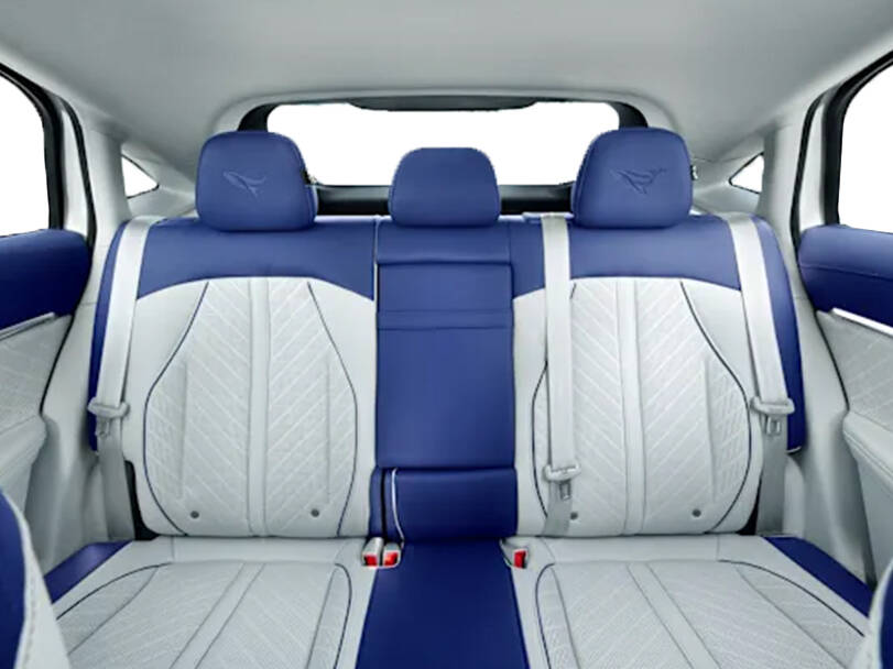 إم جي ويل الداخلية 