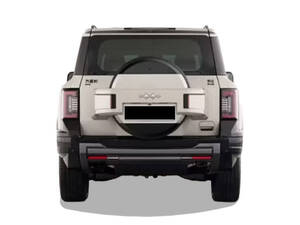 بي واي دي ليوبارد 8 الداخلية Back View