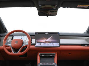 بي واي دي Tang L الداخلية 