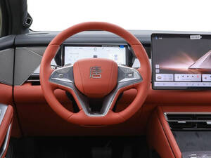 بي واي دي Tang L الداخلية 