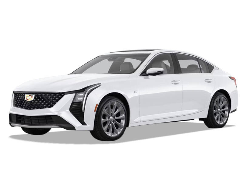 Crystal White_#dddddd