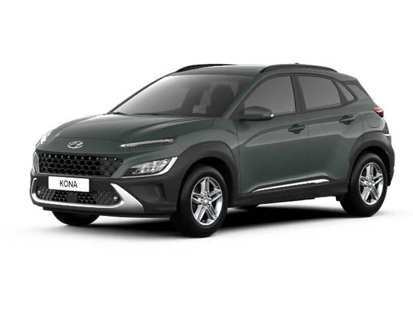 Misty Jungle_#384749