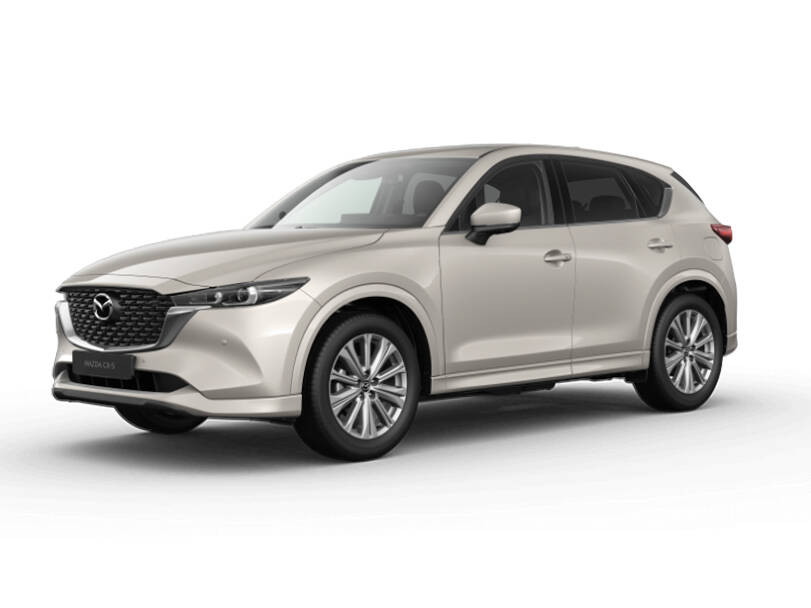 Platinum Quartz_#d3d4cf